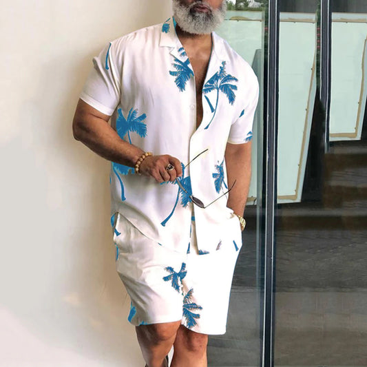Hawaii Men's Shorts and Shirt Set Casual Shirt Suit